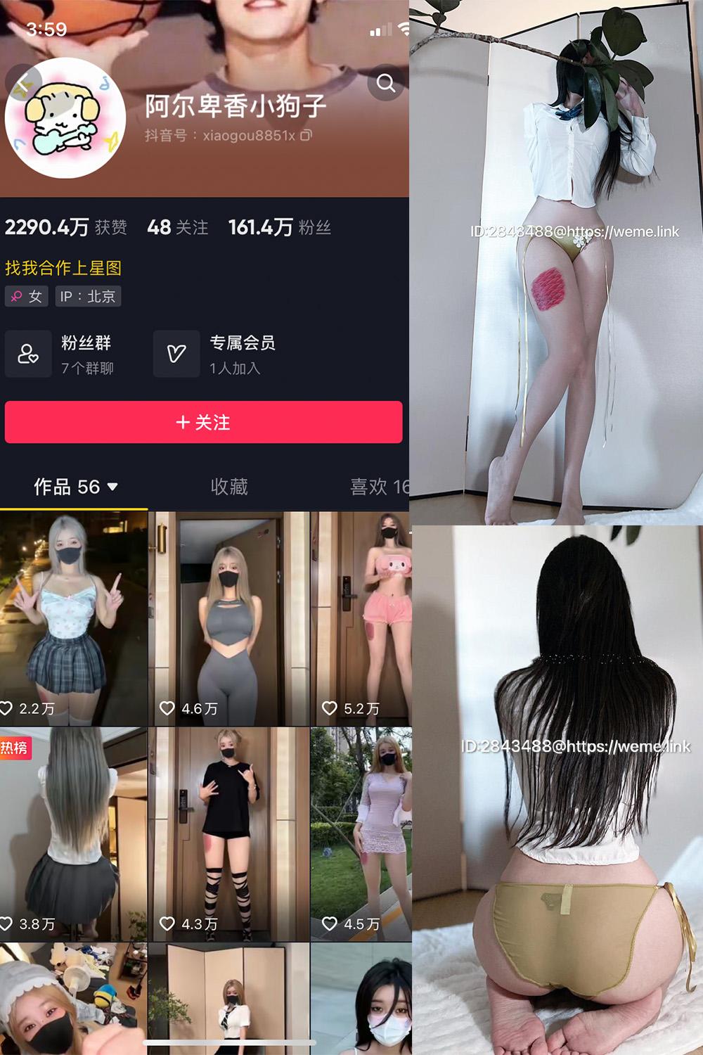 抖音 阿尔卑香小狗子 微密圈图包资源  NO.047期 【39P】
