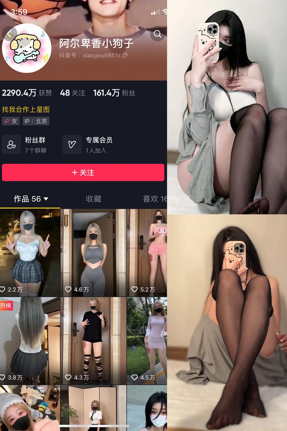 抖音 阿尔卑香小狗子 微密圈图包资源  NO.042期 【6P1V】