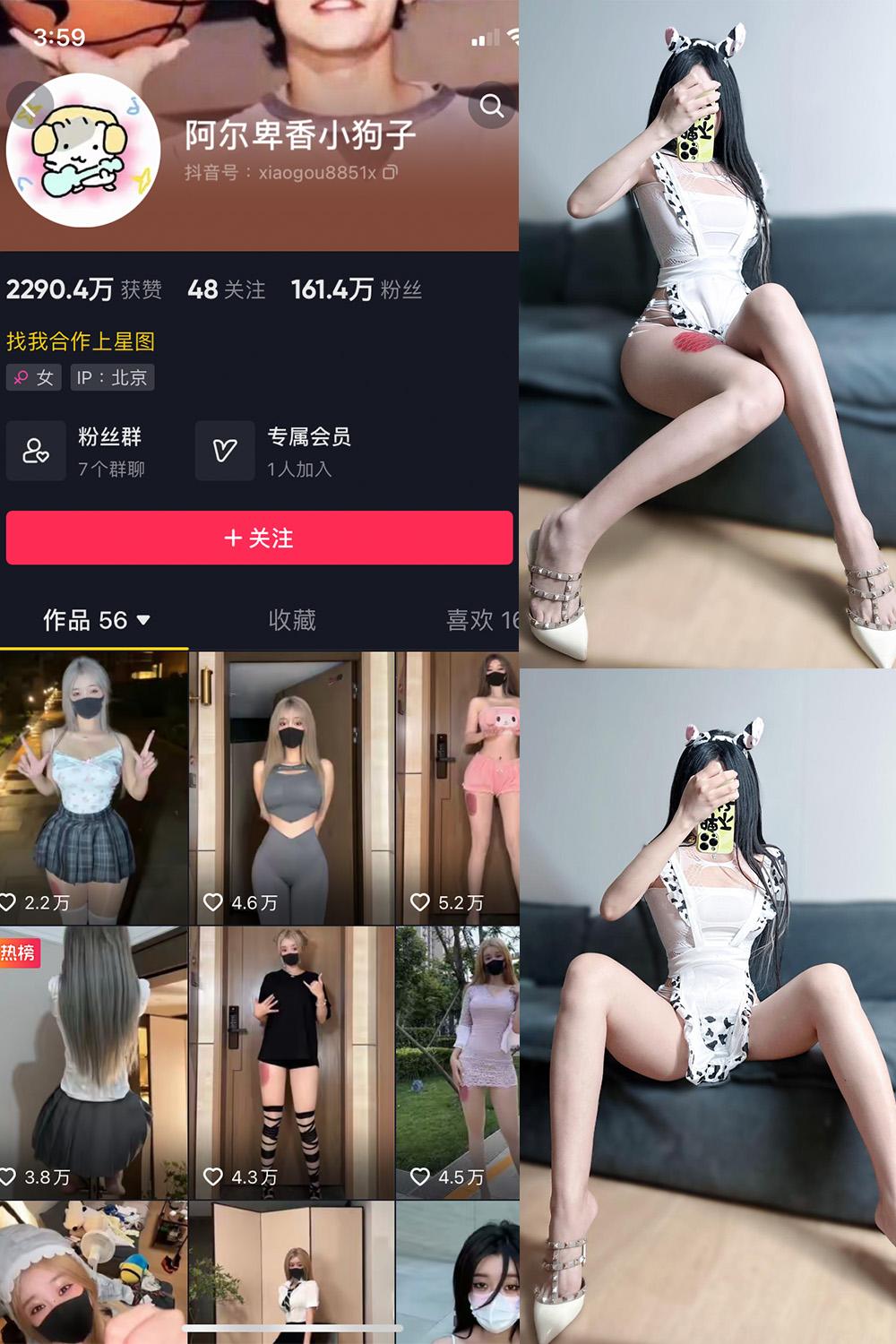 抖音 阿尔卑香小狗子 微密圈图包资源  NO.024期 【13P1V】