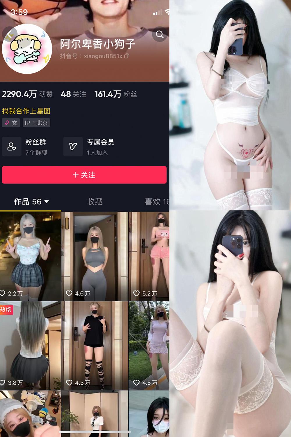 抖音 阿尔卑香小狗子 微密圈图包资源  NO.043期 【18P1V】