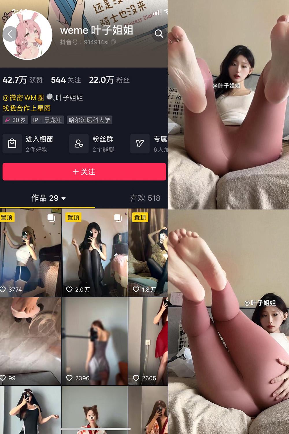 抖音 叶子姐姐 微密圈图包资源 NO.027期 【17P3V】