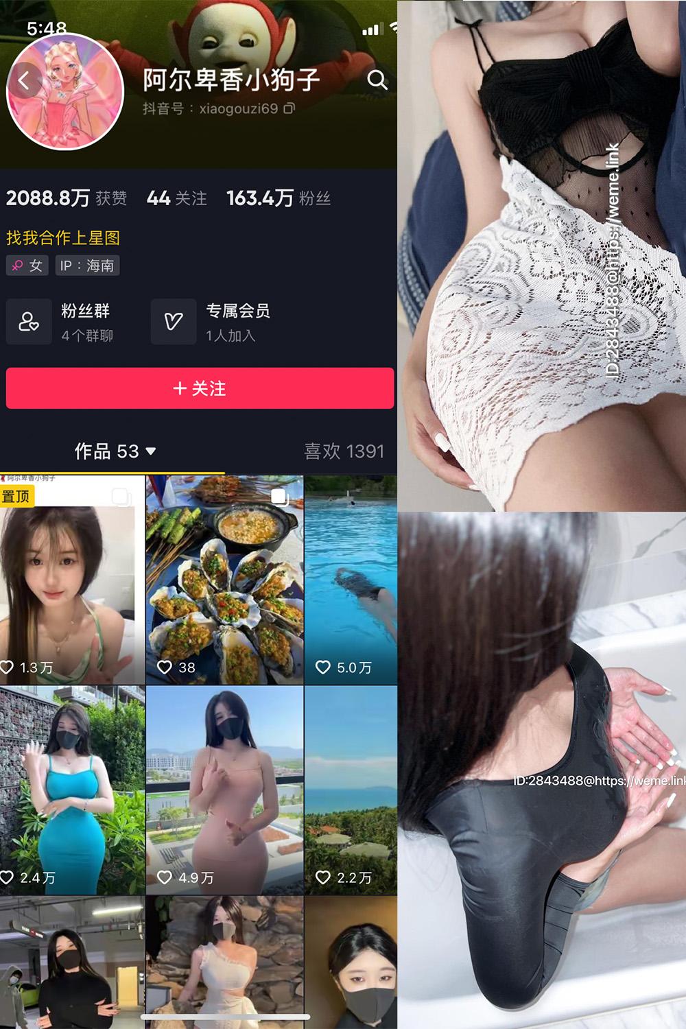 抖音 阿尔卑香小狗子 微密圈图包资源  NO.011期 【36P1V】