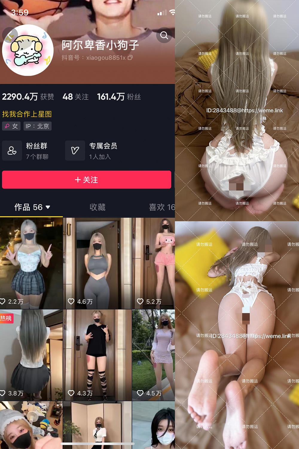 抖音 阿尔卑香小狗子 微密圈图包资源  NO.054期 【16P1V】