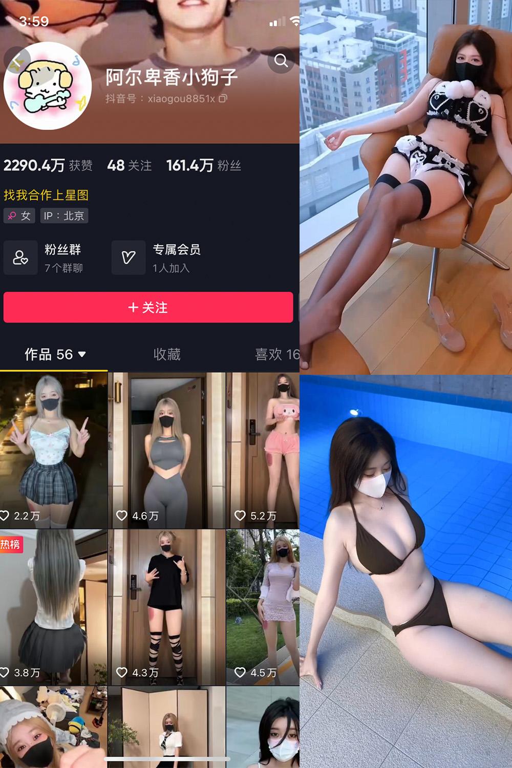 抖音 阿尔卑香小狗子 微密圈图包资源 | 觅圈  NO.062期 【8V】
