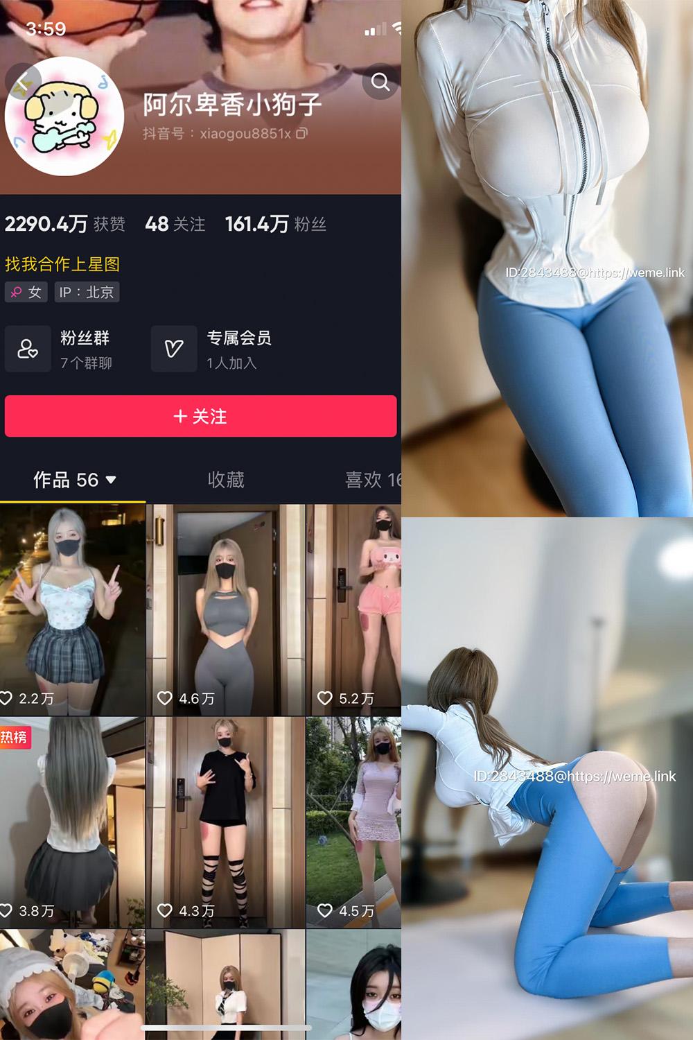 抖音 阿尔卑香小狗子 微密圈图包资源  NO.017期 【34P1V】