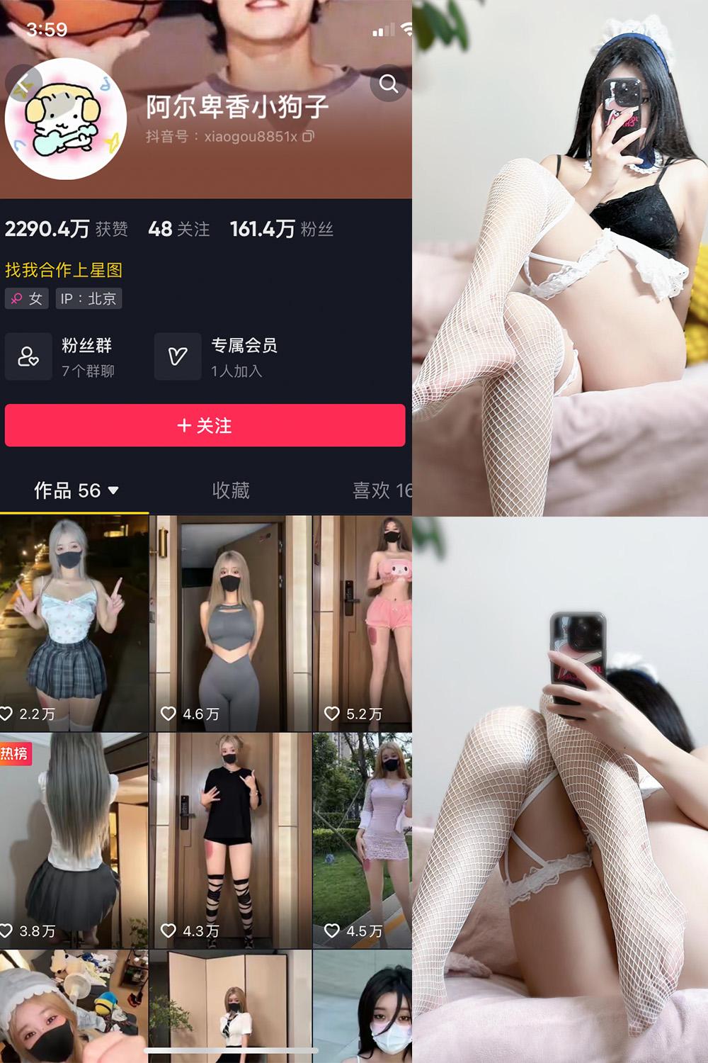抖音 阿尔卑香小狗子 微密圈图包资源  NO.033期 【19P】