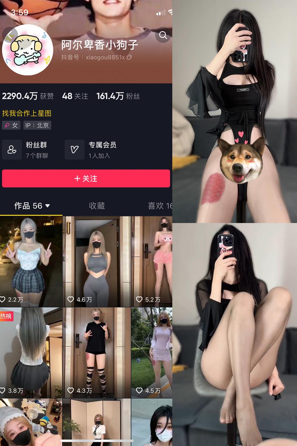 抖音 阿尔卑香小狗子 微密圈图包资源  NO.026期 【8P1V】