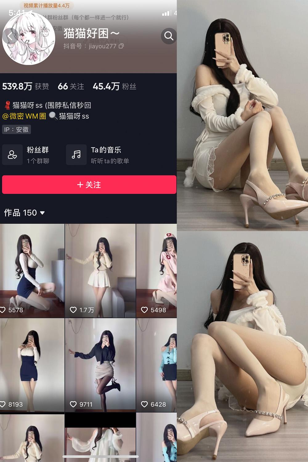 抖音 猫猫好困 微密圈图包资源  NO.030期 【81P】