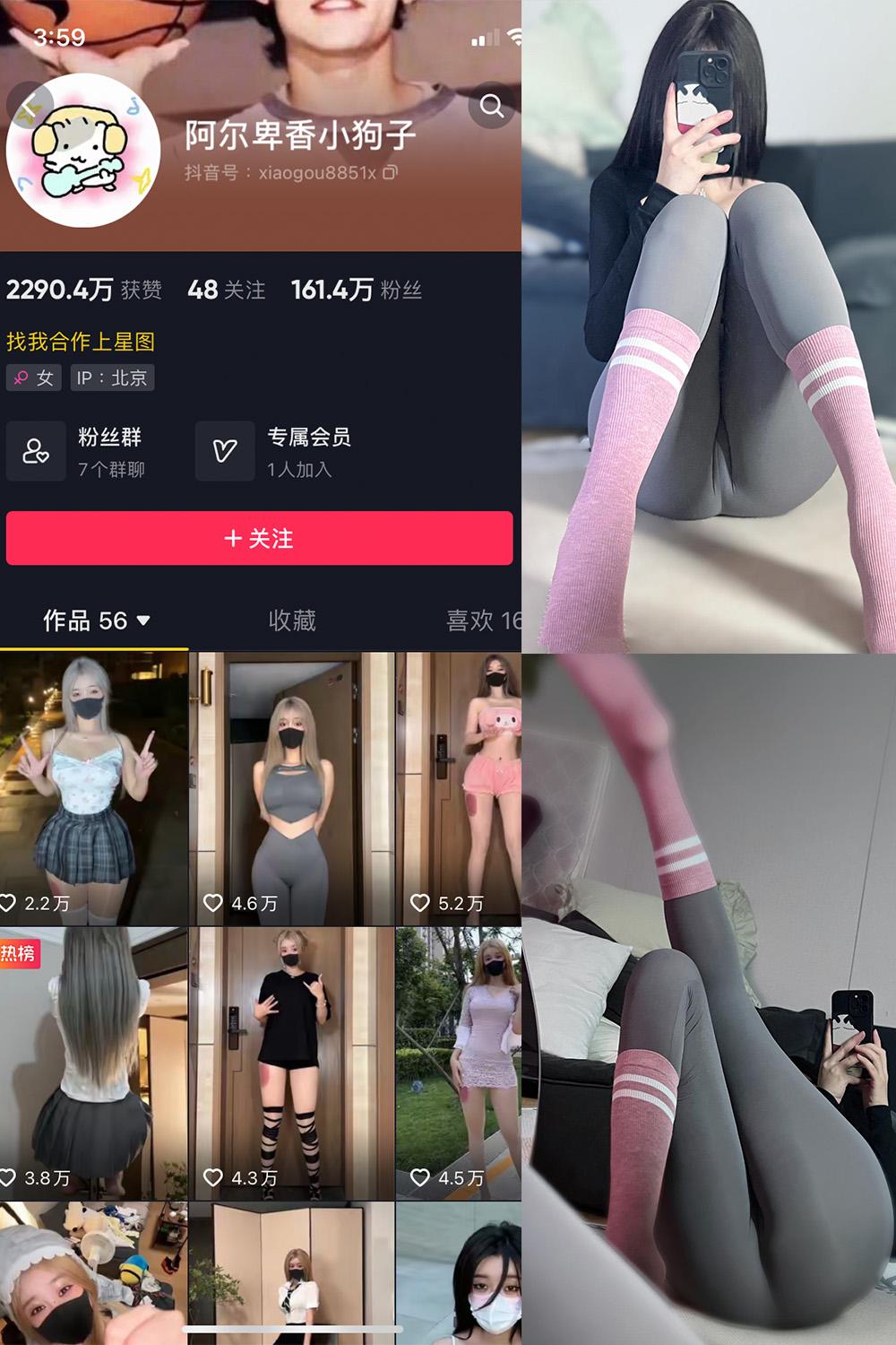 抖音 阿尔卑香小狗子 微密圈图包资源  NO.038期 【10P】