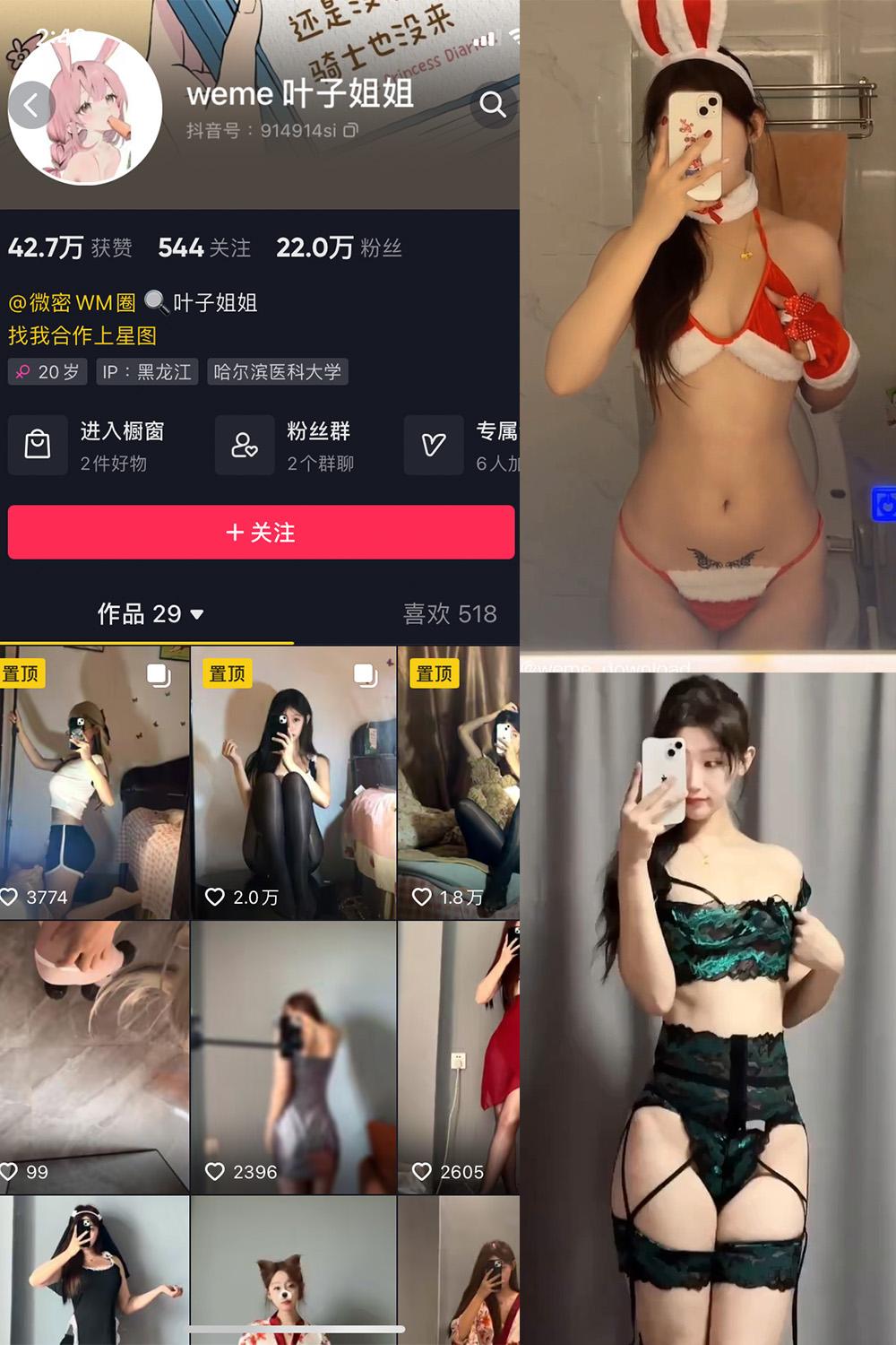 抖音 叶子姐姐 微密圈图包资源  NO.024期 【11P14V】