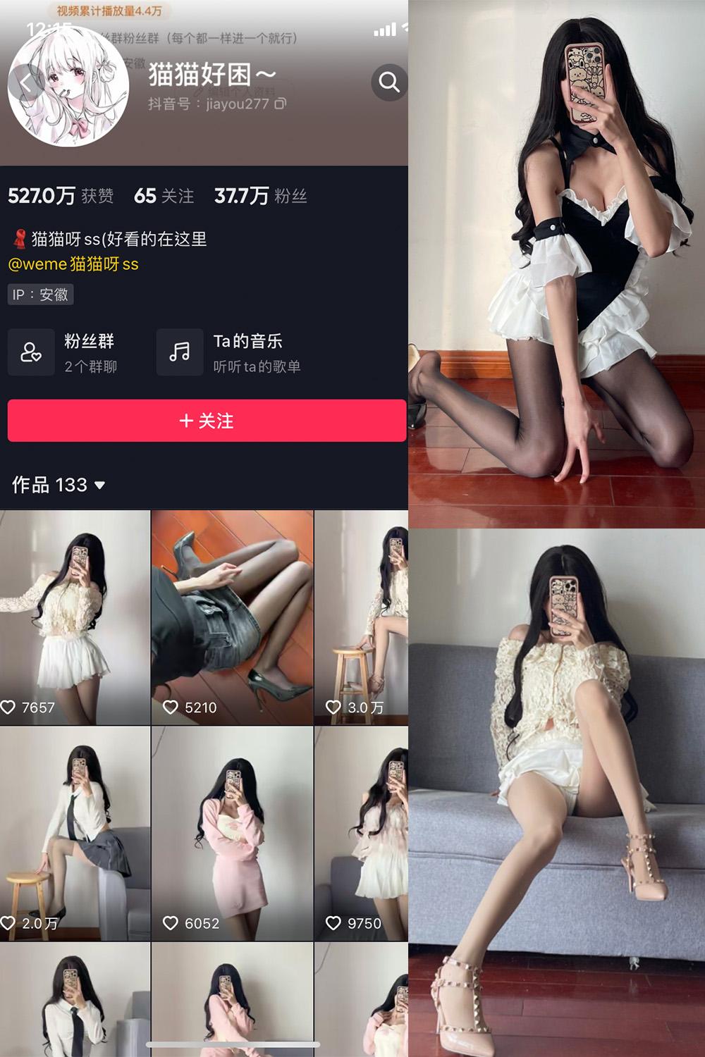 抖音 猫猫好困 微密圈图包资源  NO.005期 【53P】