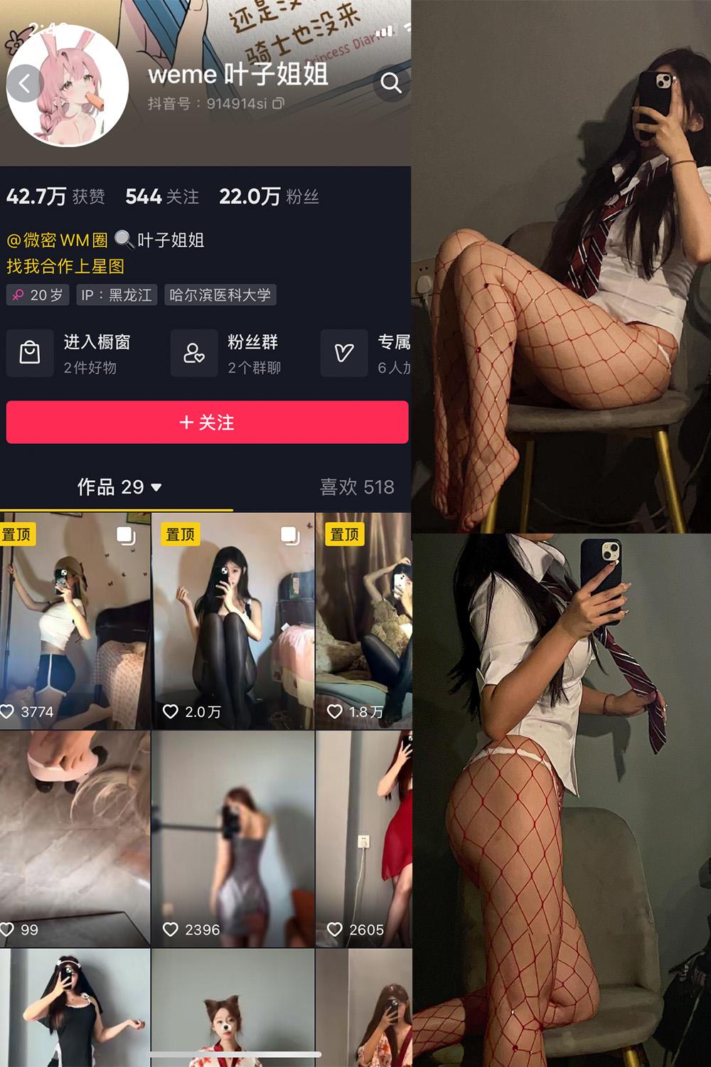 抖音 叶子姐姐 微密圈图包资源  NO.013期 【9P2V】