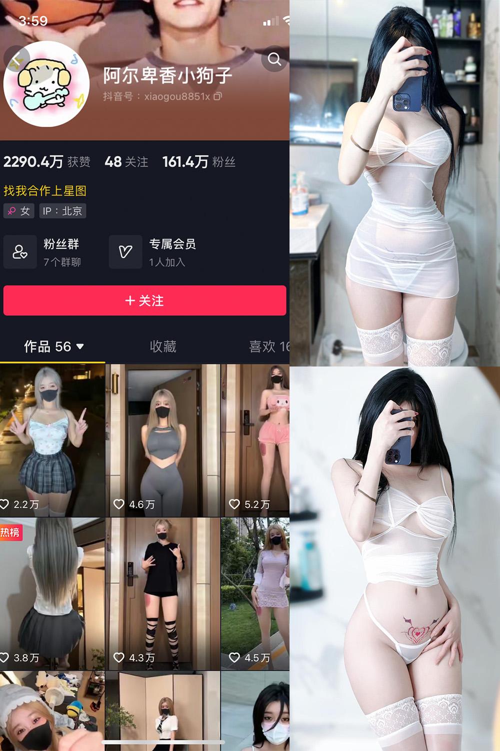 抖音 阿尔卑香小狗子 微密圈图包资源  NO.022期 【9P】