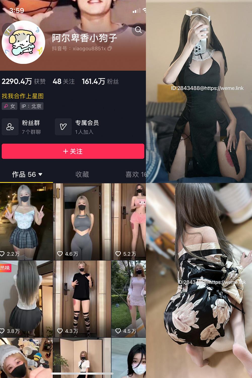 抖音 阿尔卑香小狗子 微密圈图包资源  NO.014期 【54P2V】