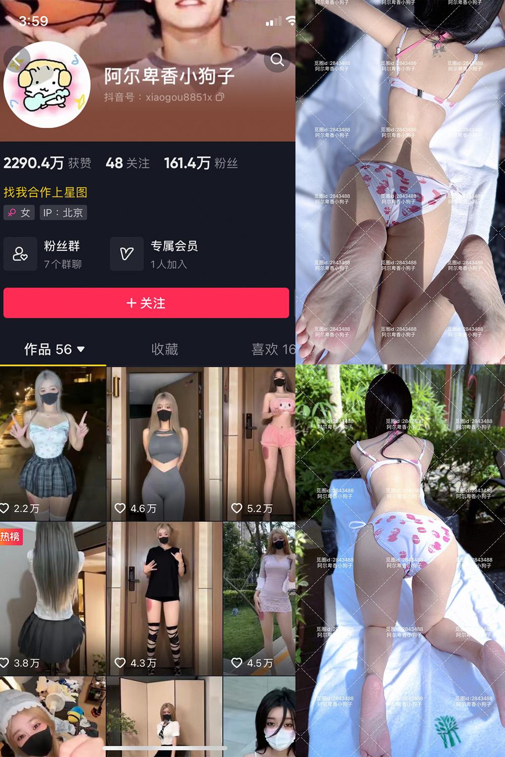 抖音 阿尔卑香小狗子 微密圈图包资源  NO.060期 【17P】