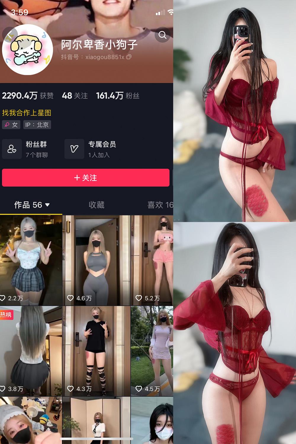抖音 阿尔卑香小狗子 微密圈图包资源  NO.056期 【10P2V】
