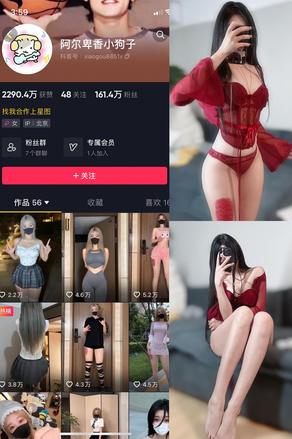 抖音 阿尔卑香小狗子 微密圈图包资源  NO.025期 【10P2V】