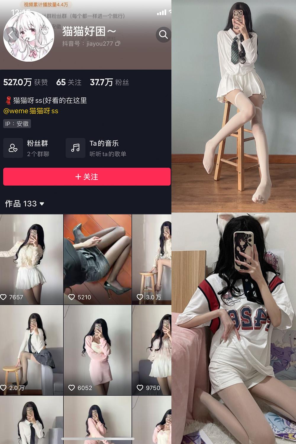 抖音 猫猫好困 微密圈图包资源  NO.001期 【39P】
