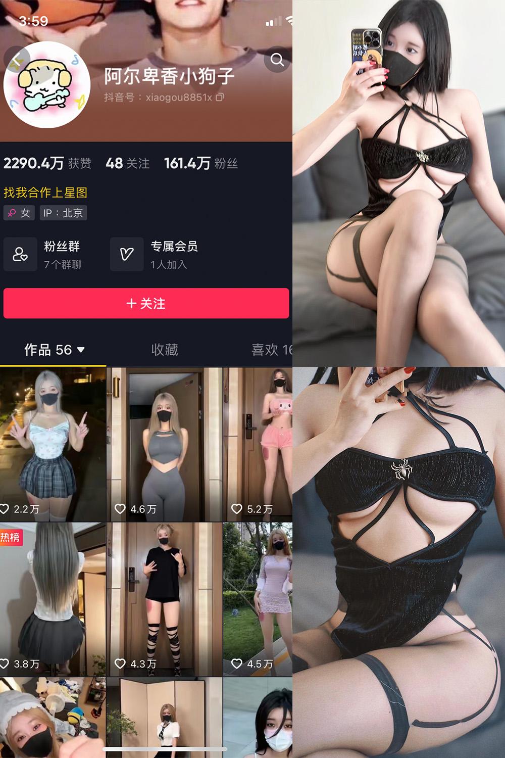 抖音 阿尔卑香小狗子 微密圈图包资源  NO.019期 【14P1V】